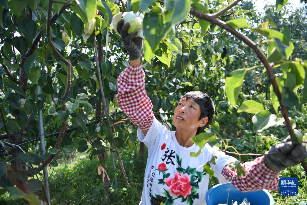 捕鱼人游戏官方